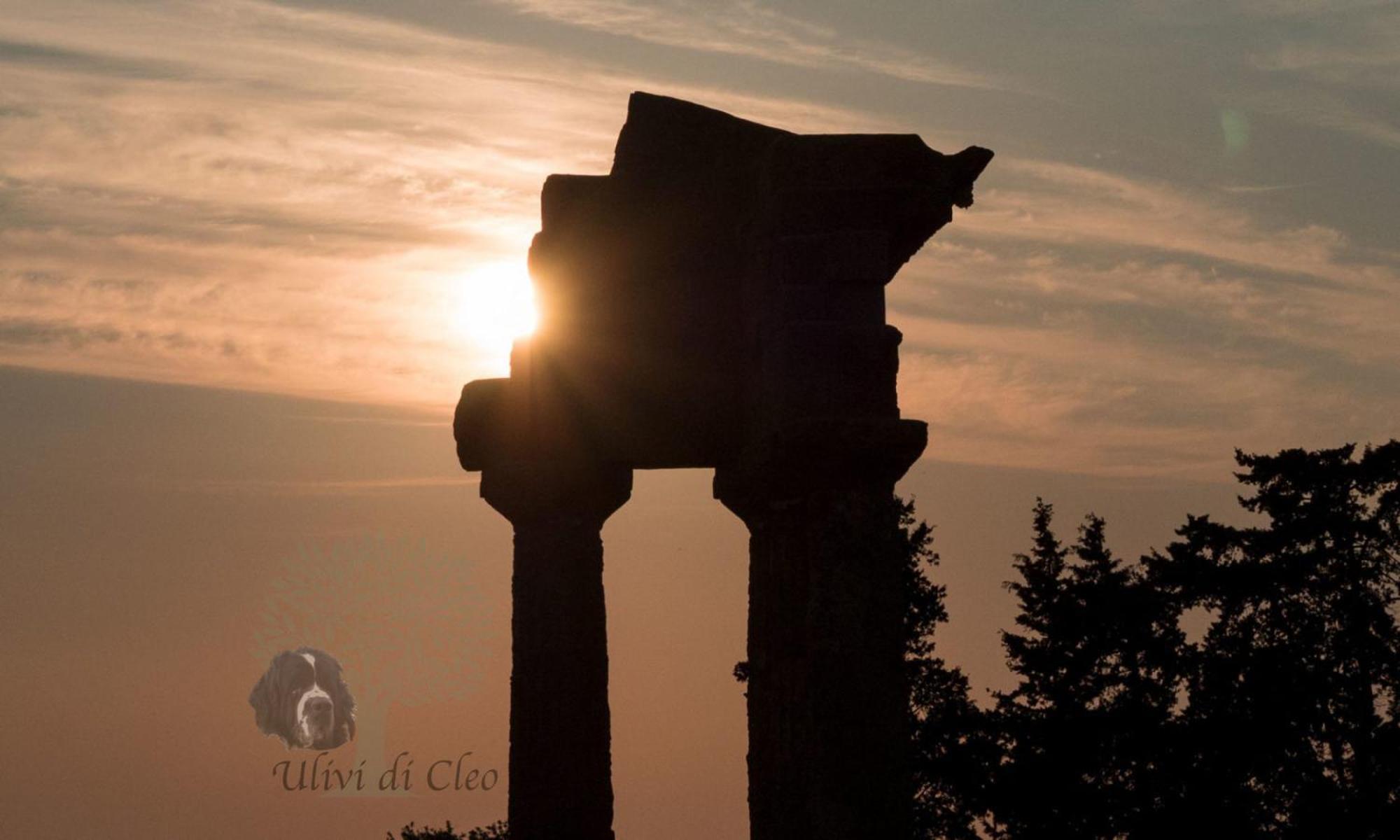 منزل الضيف ريالمونتي  في Ulivi Di Cleo المظهر الخارجي الصورة