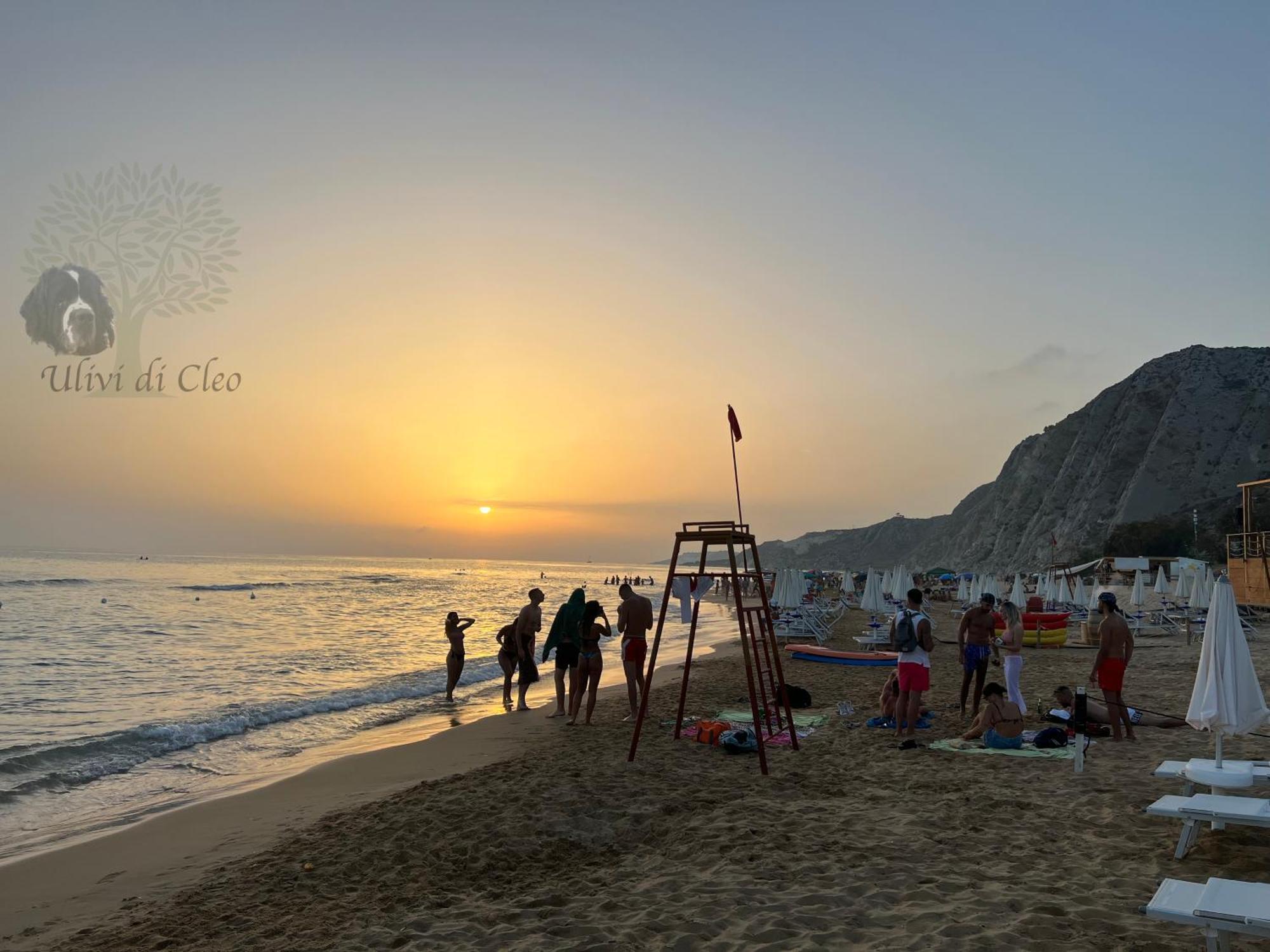 منزل الضيف ريالمونتي  في Ulivi Di Cleo المظهر الخارجي الصورة