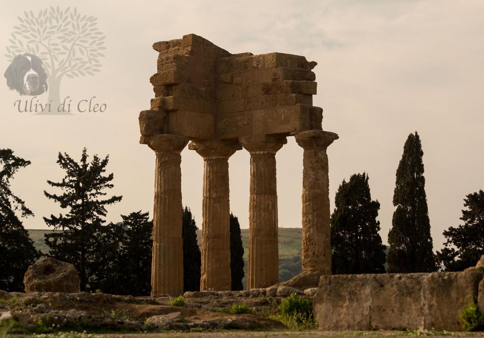 منزل الضيف ريالمونتي  في Ulivi Di Cleo المظهر الخارجي الصورة